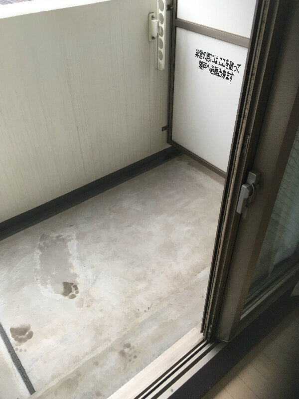 画像9