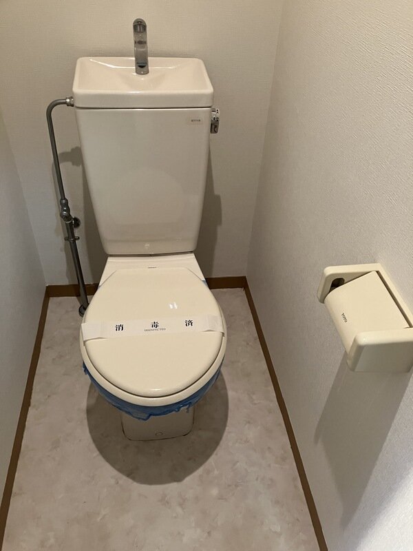 画像7